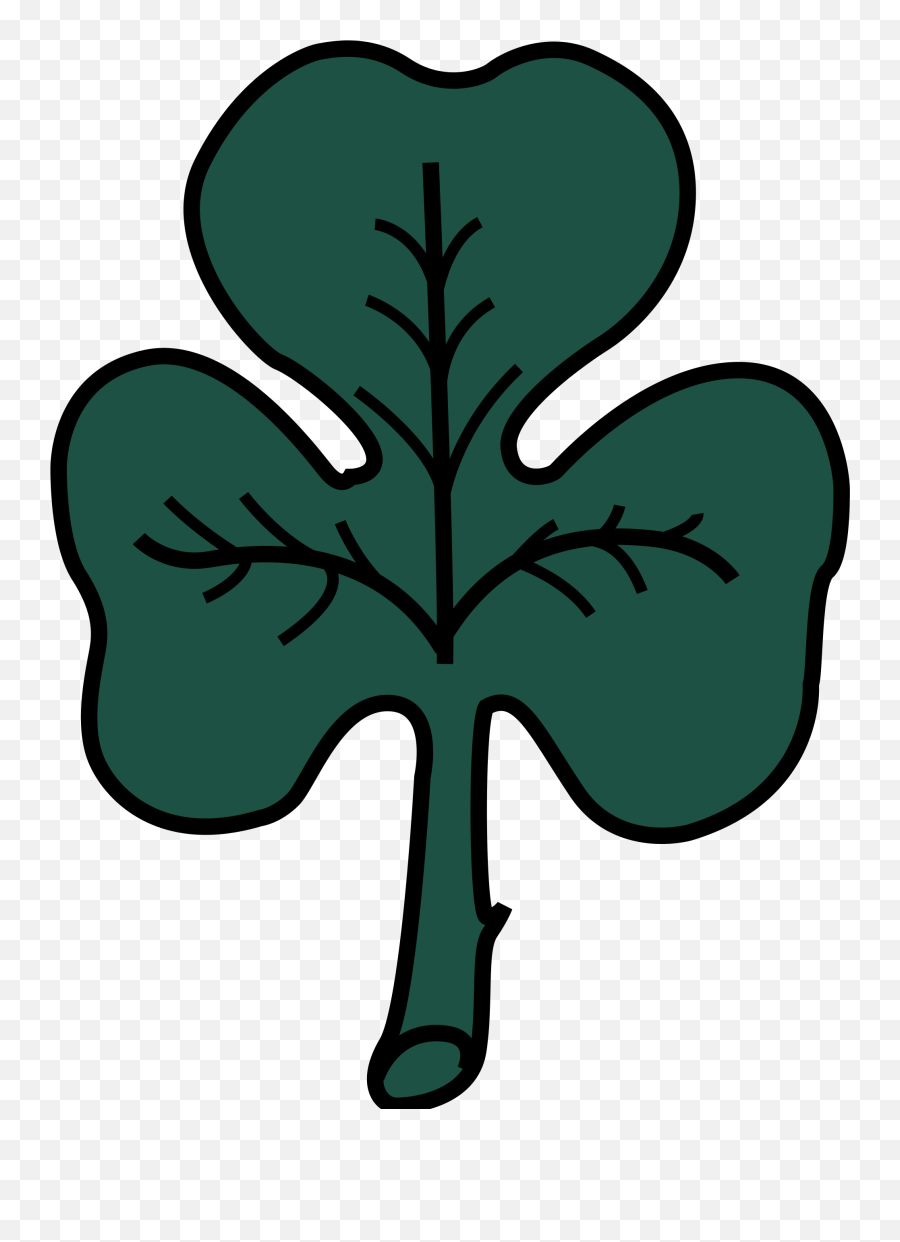 Empty Clothesline Clipart Png Irish Flags 50 Photos - Flag Montreal Png,Shamrock Clipart Png
