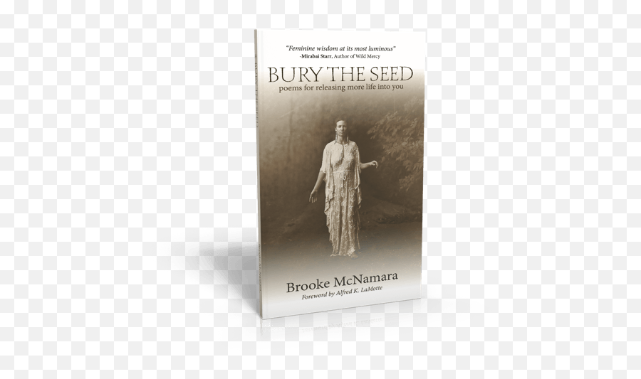 Bury The Seed - Brooke Mcnamara Book Cover Png,Katherine Mcnamara Png