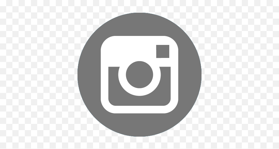 Wayne Stateu2014designing For Urban Mobility - Fresh Art Dark Gray Instagram Logo Png,Wayne State Logo