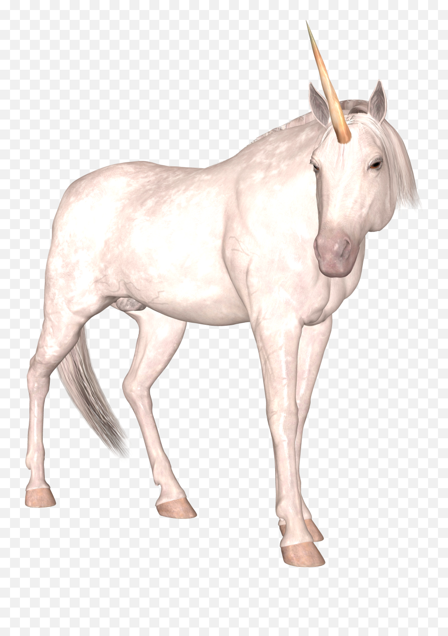 Png Unicorn - Unicorn,Transparent Unicorn