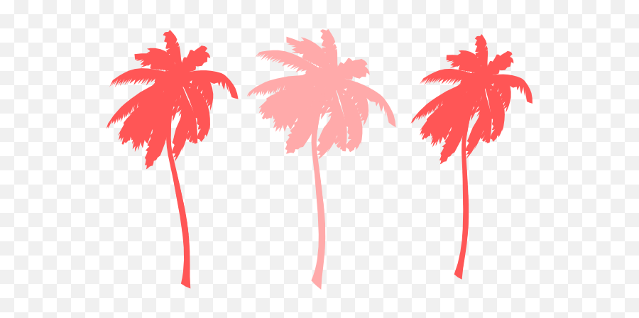 Download Hd Palm Tree Png Colorful - Colorful Palm Trees Png,Palm Trees Png