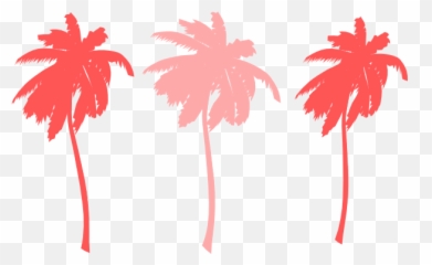 Download Hd Palm Tree Png Colorful - Colorful Palm Trees Png,Palm Trees Png