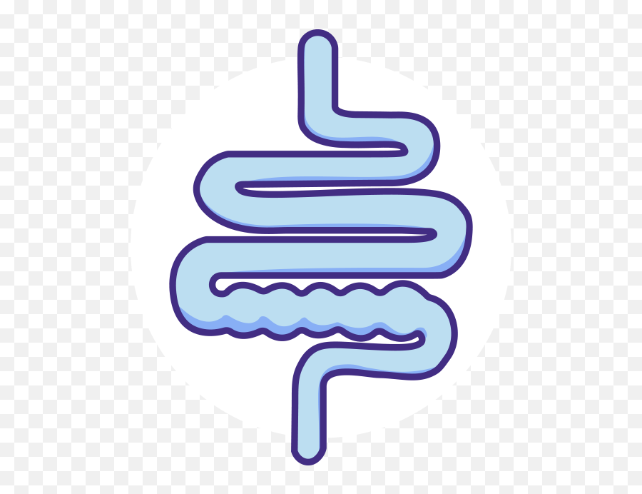 Side Effects Of Linzess Linaclotide - Vertical Png,Intestine Icon