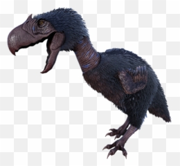 Sabertooth Dododex Ark Survival Evolved - Ark Terror Bird Png