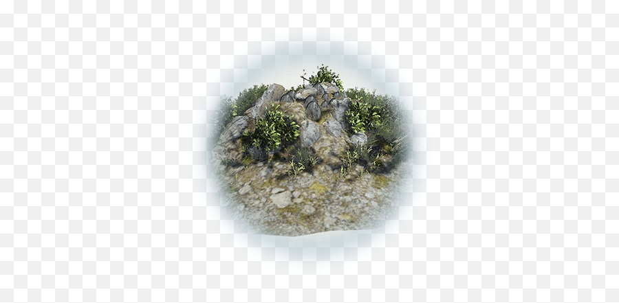 Mediah Stoneback Crab Egg - Bdo Codex Mediah Stoneback Crab Egg Location Png,Ovo Icon