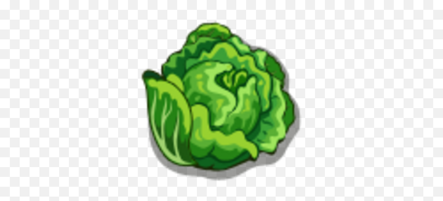 Lettuce Farmville Wiki Fandom - Fresh Png,Lettuce Icon