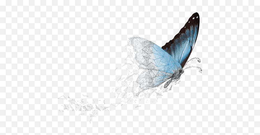 Mps Limited Make Learning Smarter - Swallowtail Butterfly Png,Instagram Icon For Banner