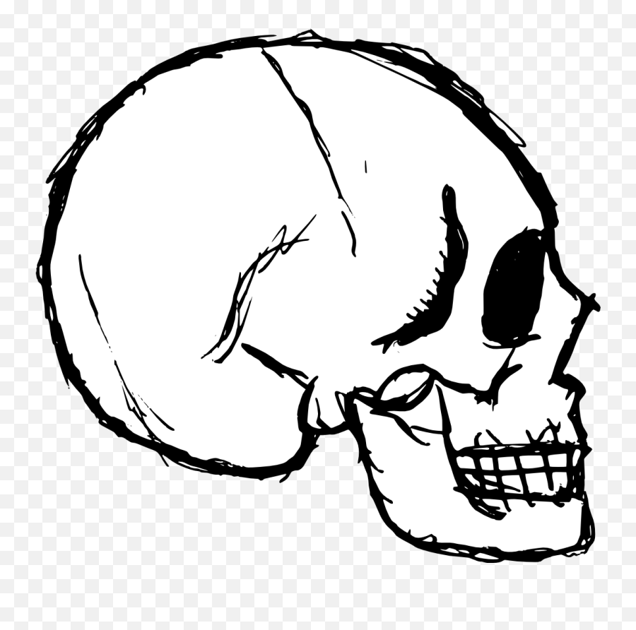 8 Skull Drawing Vector Png - Illustration,Skull Drawing Png