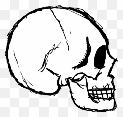 8 Skull Drawing Vector Png - Illustration,Skull Drawing Png