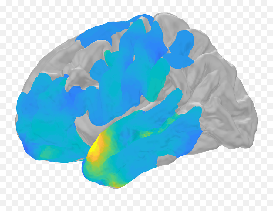 Our Brains May Ripple Before Remembering - Neural Oscillation Png,Ripples Png