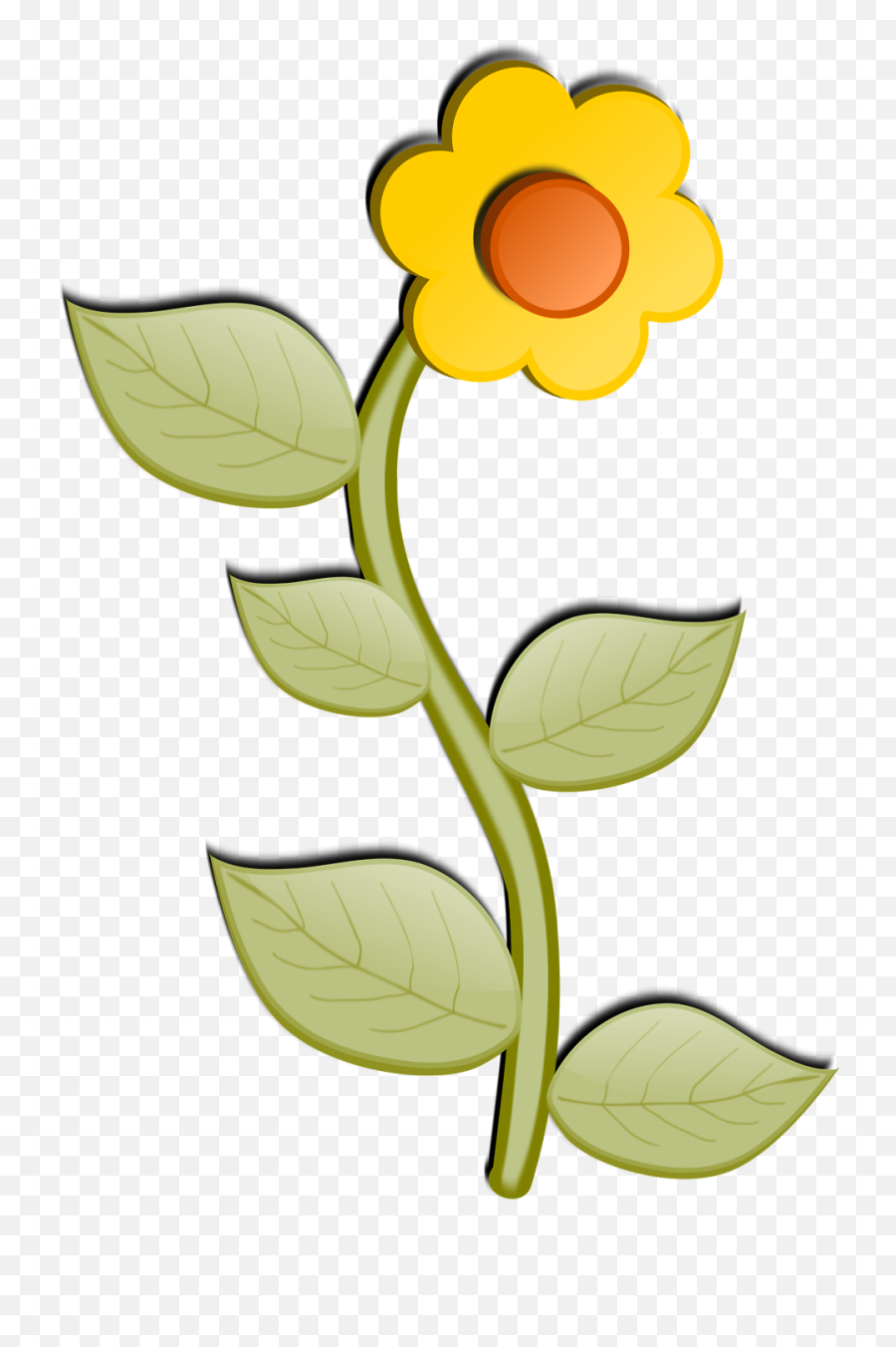 Plant Flora Petal Png Clipart Flower Cartoon