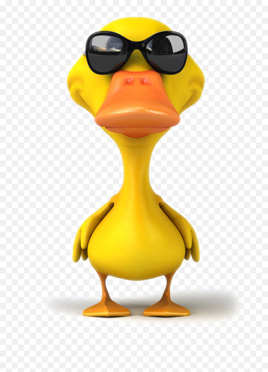 Pictures Photography Illustration - Cartoon Duck Png,Duck Cartoon Png
