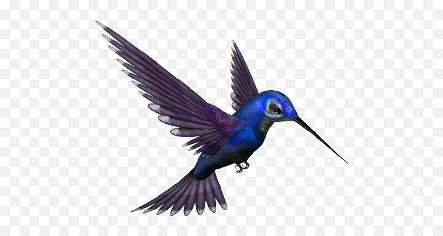 Part 4 New 1000 Png Zip File Download - Humming Bird,All Png