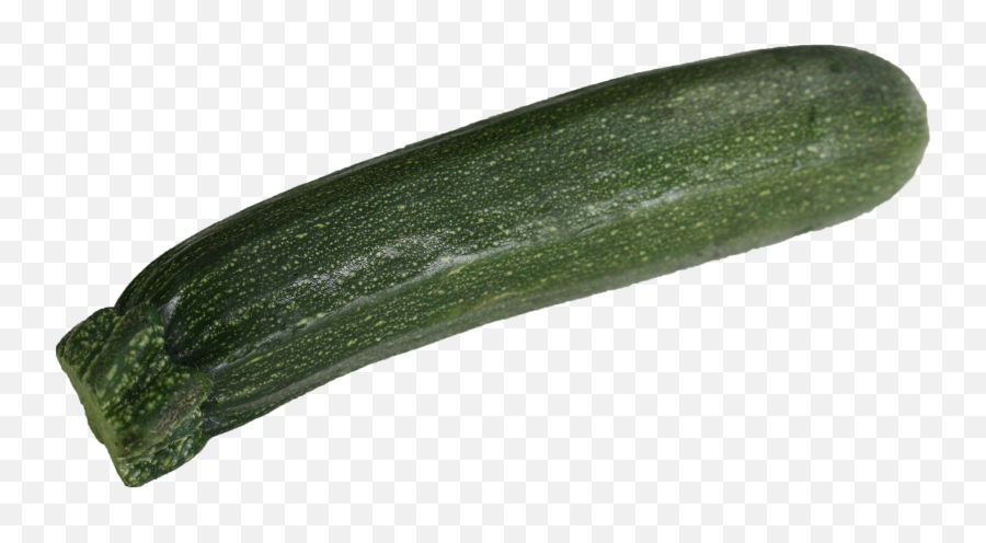 Courgette - Gourd Png,Zucchini Png