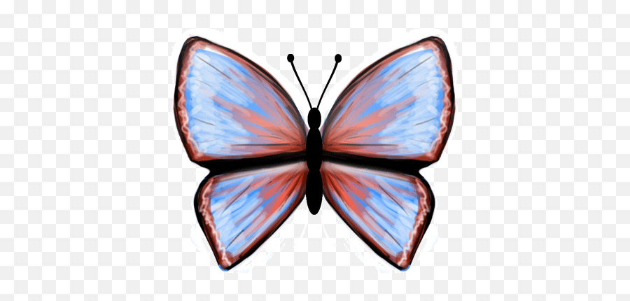 Animated Butterfly Clipart - Animated Butterfly 410x349 Animated Butterfly Clipart Png,Butterfly Outline Png