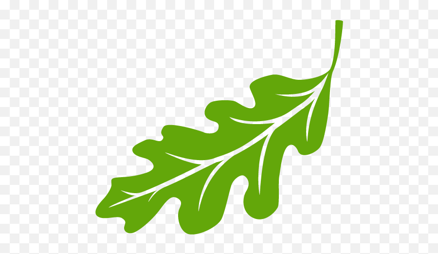 Cropped - Leaflogo512512png U2013 Oak Leaf Promotions Clip Art,Leaf Logo