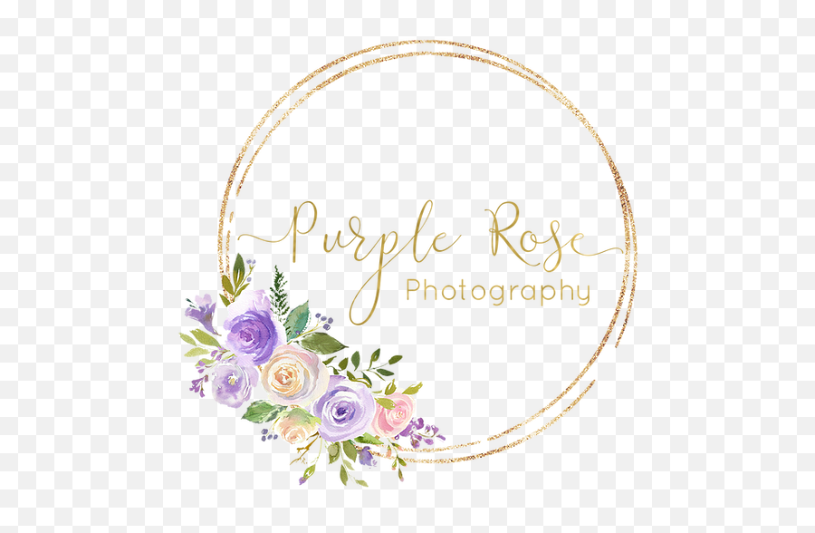 Purple Rose Photography Llc - Floribunda Png,Purple Rose Png