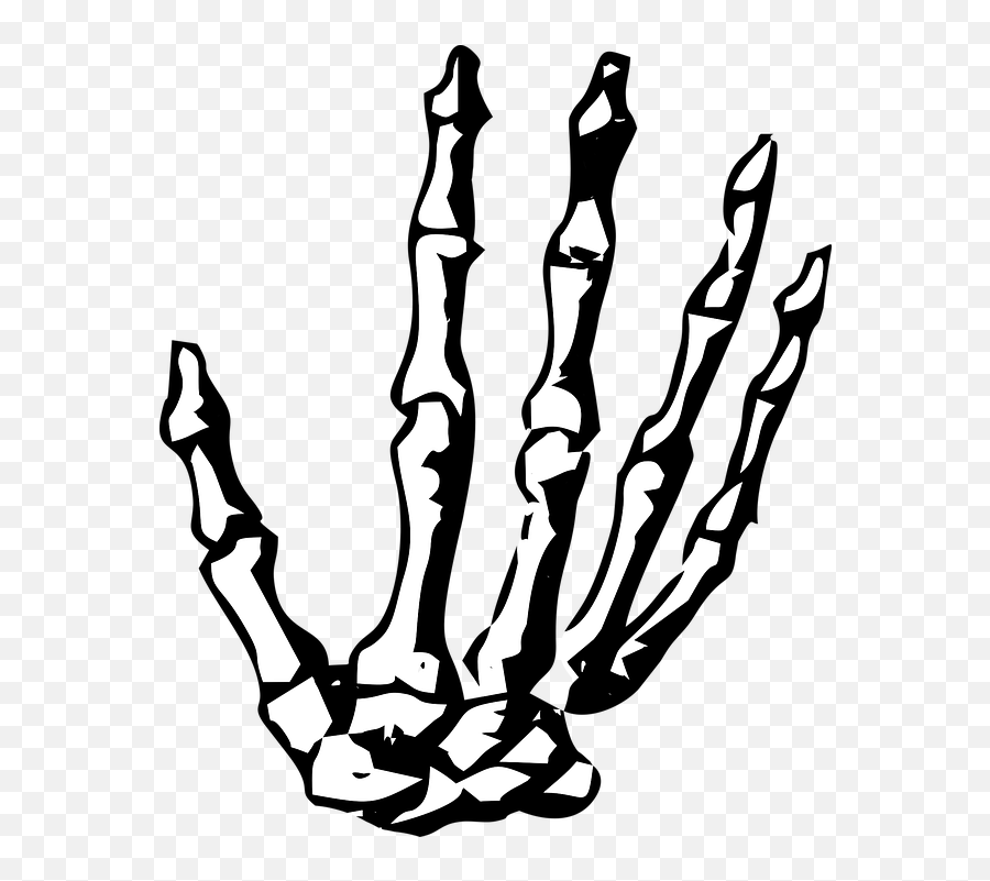 Hand Skeleton - Skeleton Hand Clipart Png,Skeleton Hand Png