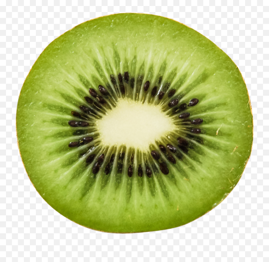 Download Kiwi Png Image For Free - Single Fruits Images Png,Kiwi Png