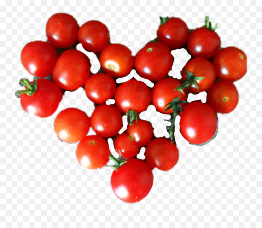 Largest Collection Of Free - Toedit Tomato Stickers On Picsart Cherry Tomatoes Png,Tomatoe Png