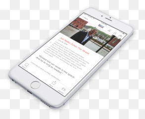 Jeb Portfolio - Iphone Png,Jeb Bush Png