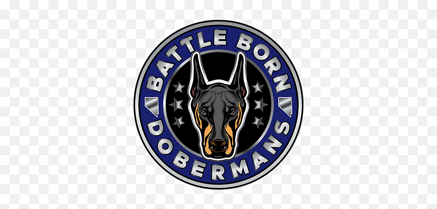 Battle Born Dobermans - Euro Doberman Pinscher Las Vegas Nv Amsterdam Tulip Museum Png,Doberman Png