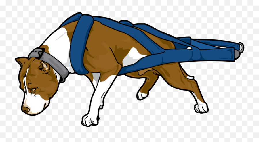 Download Hd Pitbull Png Clipart - Weight Pull Dog Vector,Pitbull Png