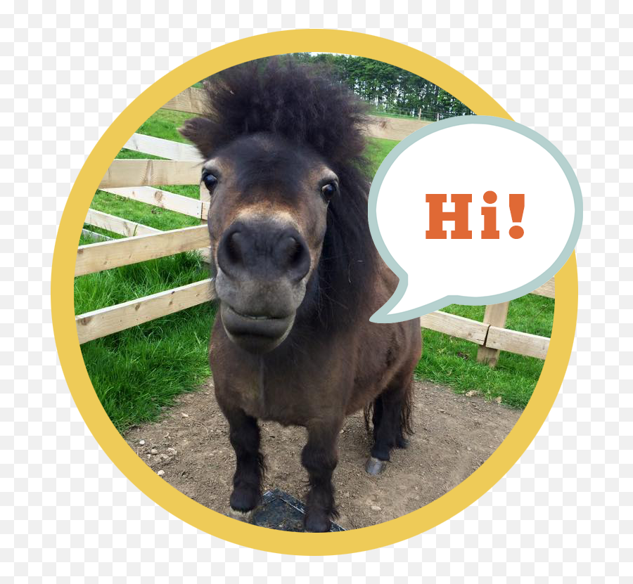 Download Little Alf Says Hello - Working Animal Png,Burro Png