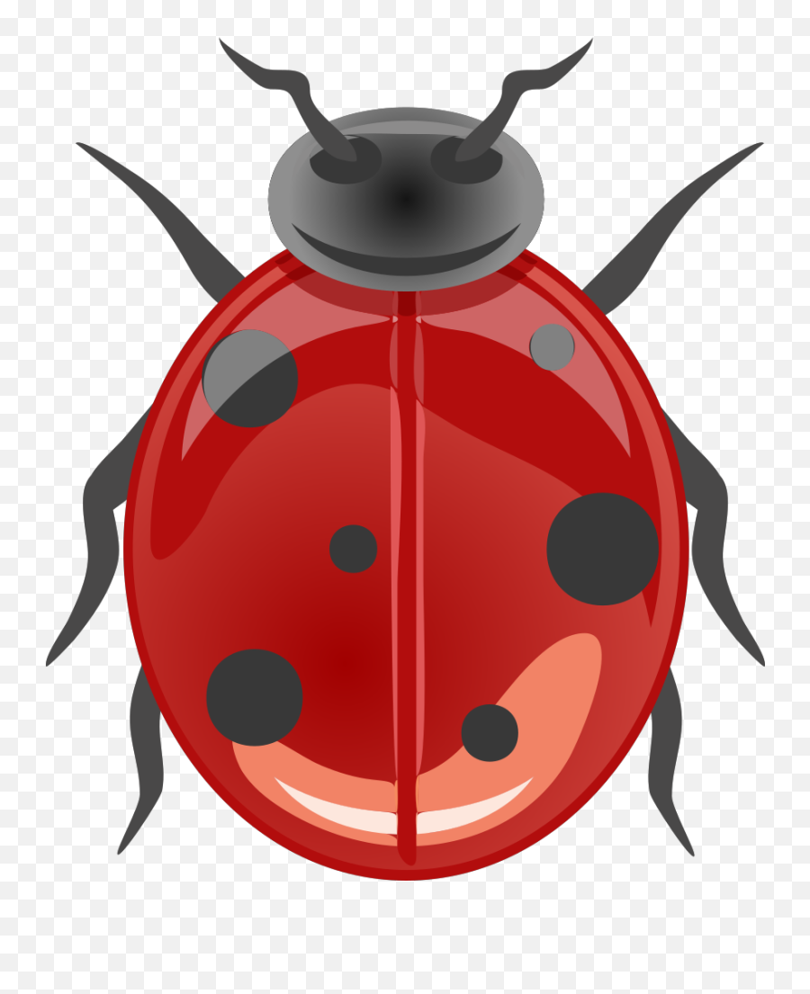 Shiny Ladybug Png Svg Clip Art For Web - Desenhos De Animais Bosouro,Lady Bug Png
