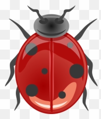 Shiny Ladybug Png Svg Clip Art For Web - Desenhos De Animais Bosouro,Lady Bug Png