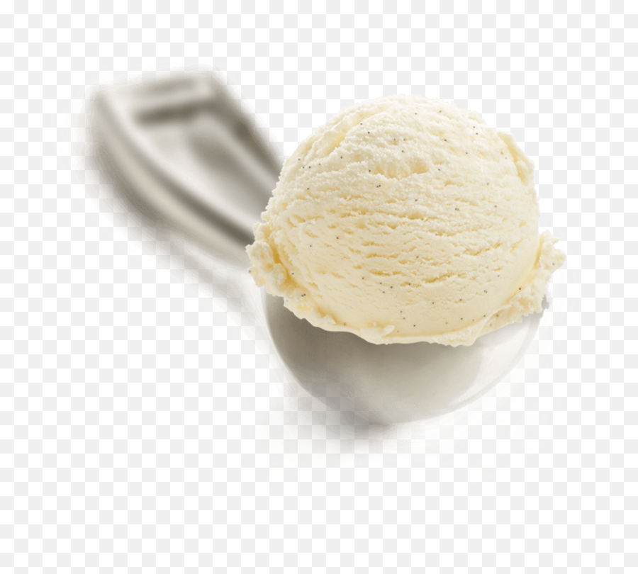 Vanilla Bean - Vanilla Ice Cream 1 Scoop Png,Vanilla Bean Png
