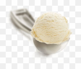 Vanilla Bean - Vanilla Ice Cream 1 Scoop Png,Vanilla Bean Png