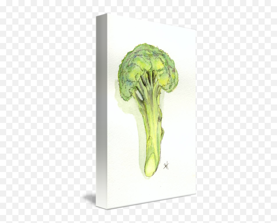 Broccoli Tree By Sydney Harper - Fresh Png,Broccoli Transparent Background