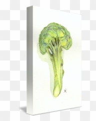 Broccoli Tree By Sydney Harper - Fresh png
