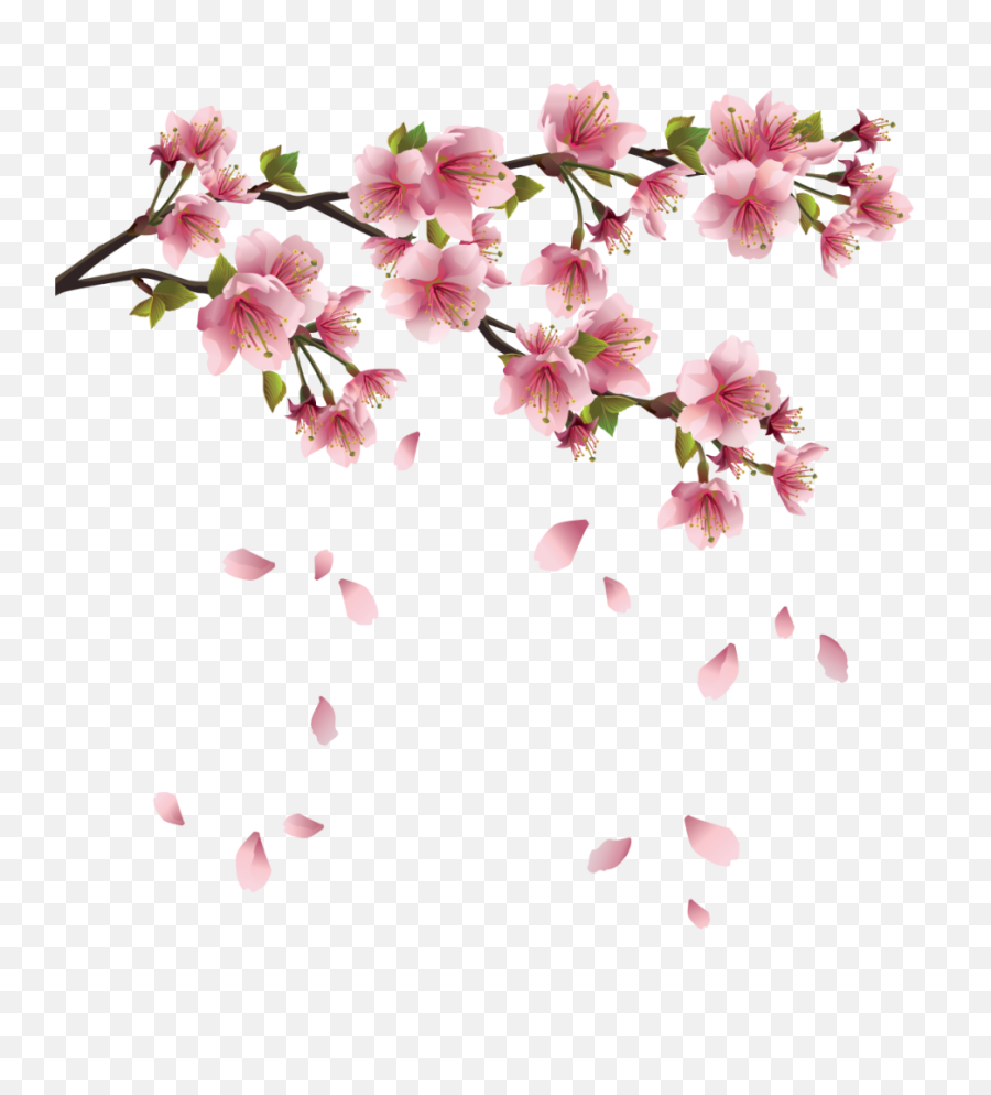 Download Spring Free Png Image - Transparent Background Transparent Cherry Blossom Png,Spring Background Png