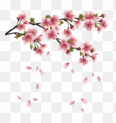 Download Spring Free Png Image - Transparent Background Transparent Cherry Blossom Png,Spring Background Png