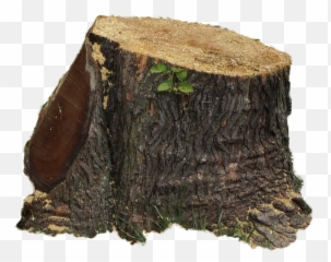 Download Tree - Tree Stump Full Size Png Image Pngkit Solid,Stump Png