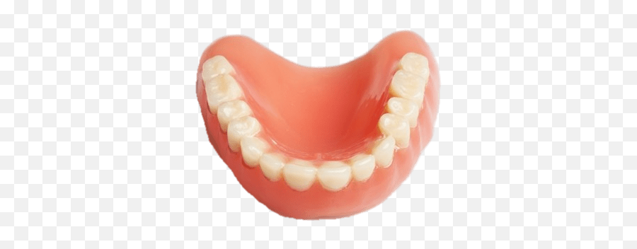 False Teeth Lower Denture Transparent - Lower Denture Transparent Png,Dentures Png