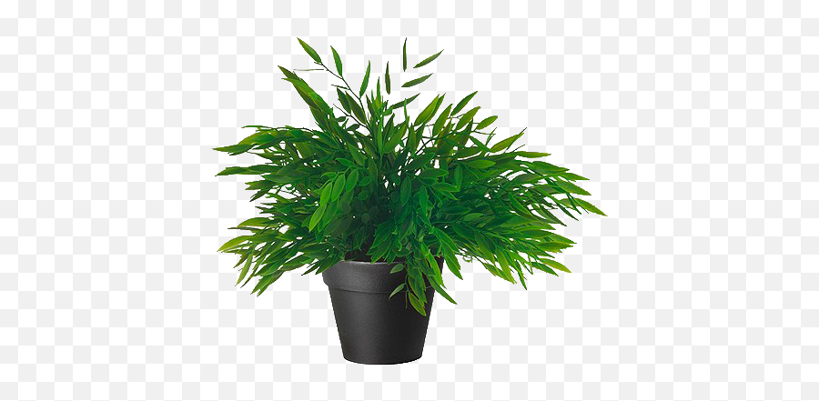 Download Hd Plant Png Tumblr - Ikea Artificial Potted Plant Fake Plants Ikea,Desert Plant Png
