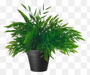 Download Hd Plant Png Tumblr - Ikea Artificial Potted Fake Plants