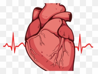 Heart Clipart Artwork - Real Drawing Transparent Background png