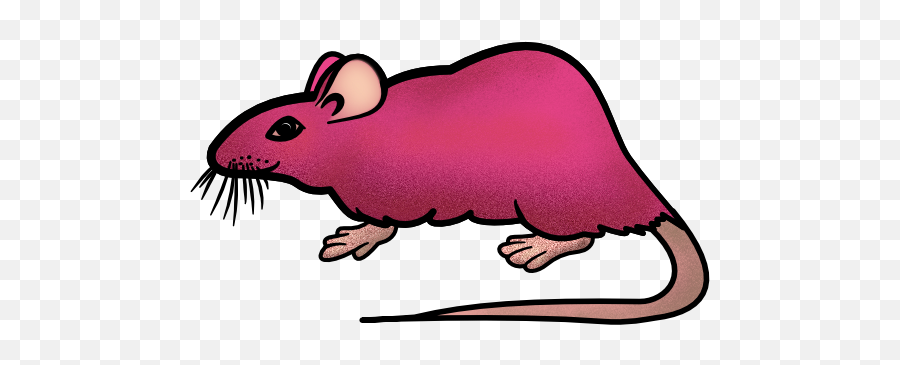 No Transparancy Export To Png - Pre 18 Designer Cartoon,Bugs Png