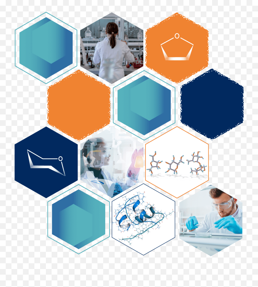 About Us - Acs Division Of Carbohydrate Chemistry Png,Carbohydrates Icon