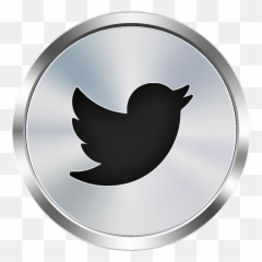 Trinydi Athena Coming Soon - Silver Twitter Logo png