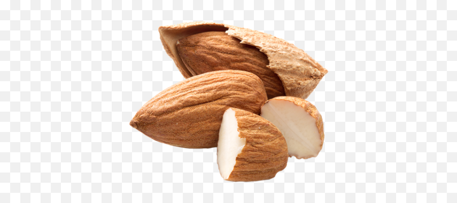 Almond Free Png Images Tree Clipart Download - Free Pieces Of Almond,Walnut Transparent