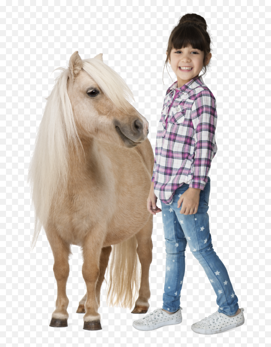 Pony Rides Png U0026 Free Ridespng Transparent Images - Party Pony,Pony Transparent