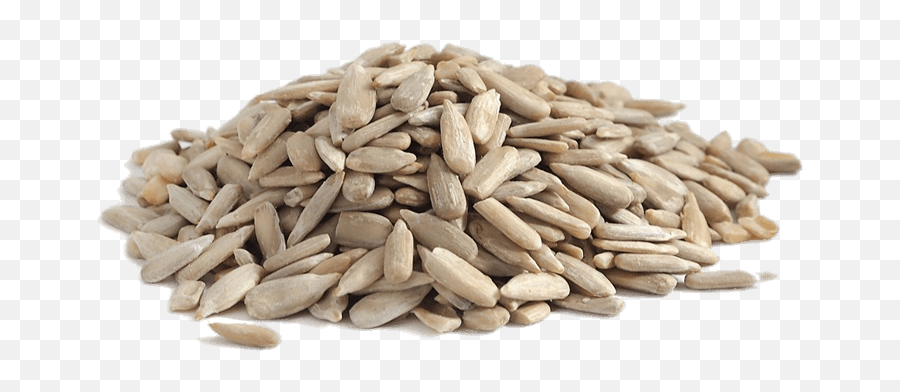 Sunflower Seed Transparent Png - Raw Sunflower Seeds,Seed Png