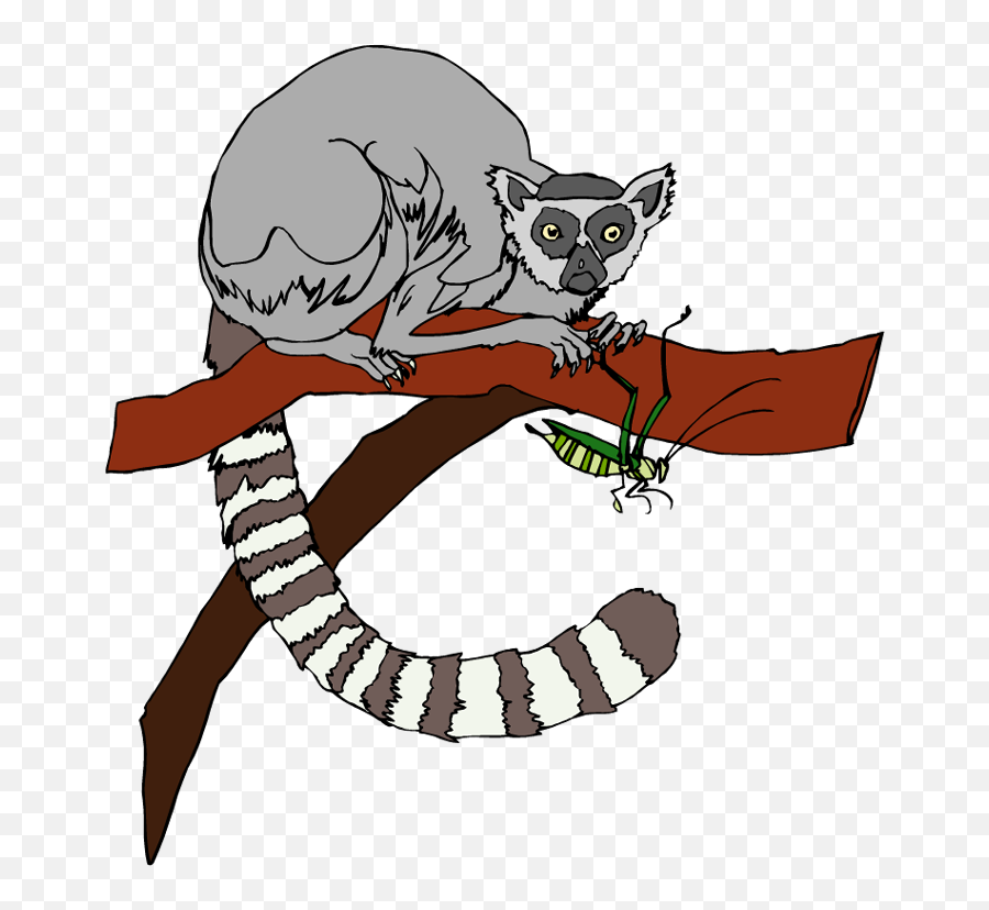 Clipart - Lemur Clip Art Png,Lemur Png