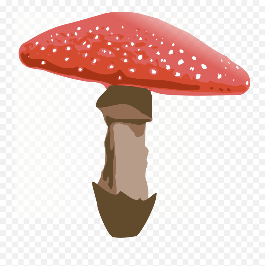 Download Amanita Muscaria Png File - Free Transparent Png Transparent Background Mushroom Clipart,Alice In Wonderland Png