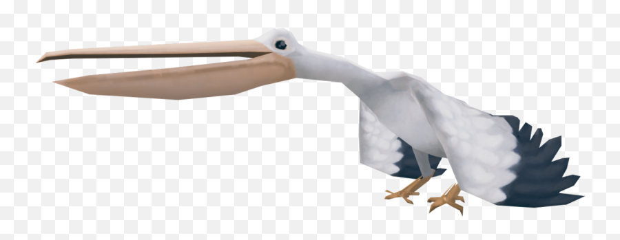 Pelican - White Stork Png,Pelican Png